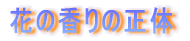 ɗDꂽԐFX